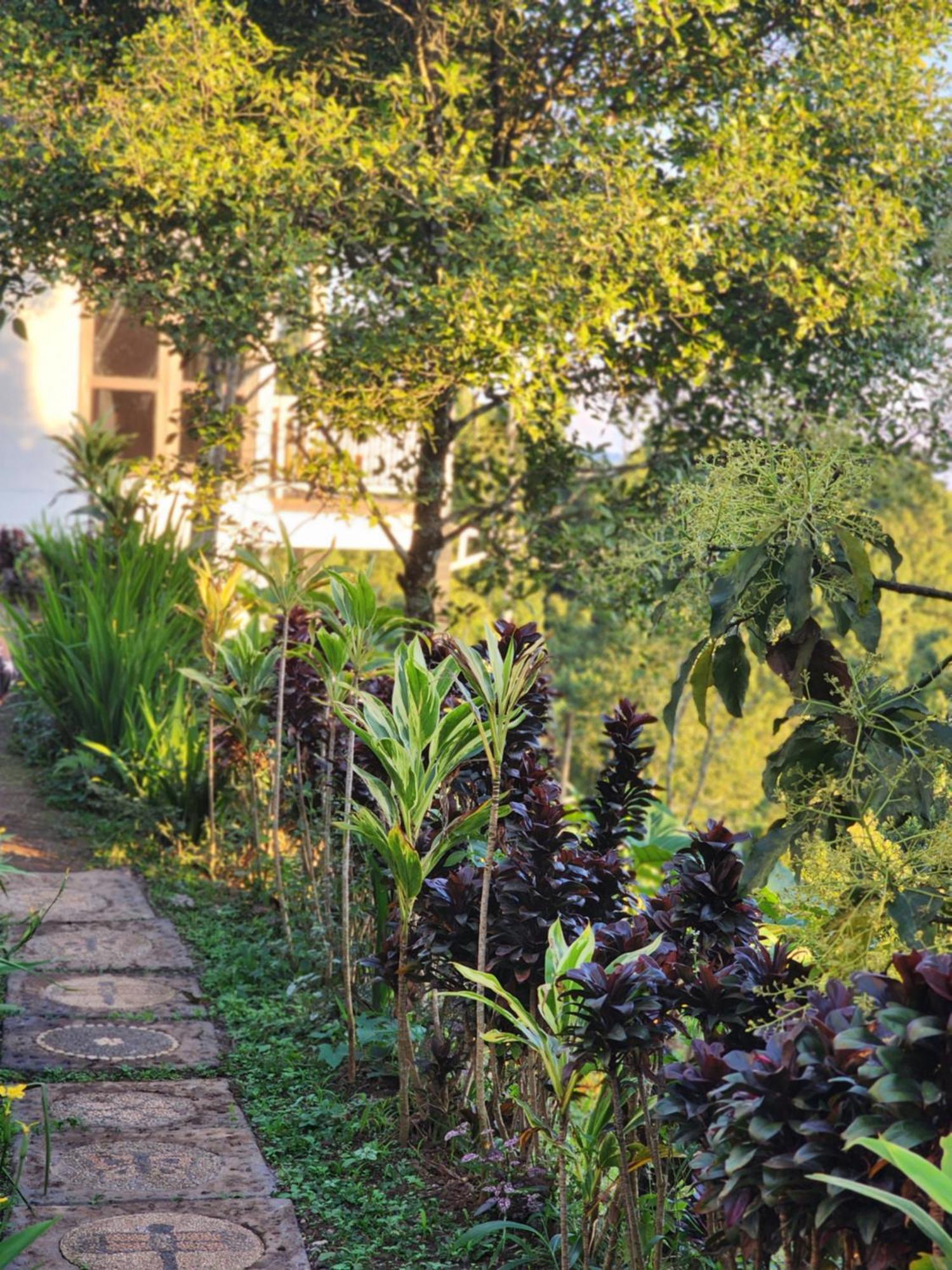 Ferienwohnung De La Sierra Munduk Exterior foto